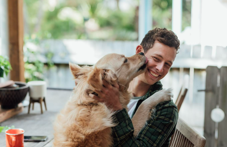 ¿Su perro se siente desinteresado con su comida?  Conozca cinco claves para mantener su alimento apetecible